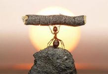 اعتماد به نفس