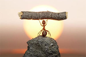 اعتماد به نفس